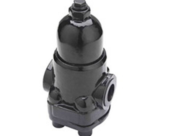 �����^�V�����B����